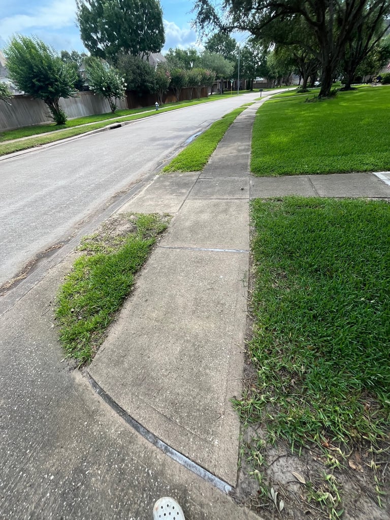 Suburban street with sidewalk, asphalt road, manicured lawns, tall trees, and wooden fence on sunny day